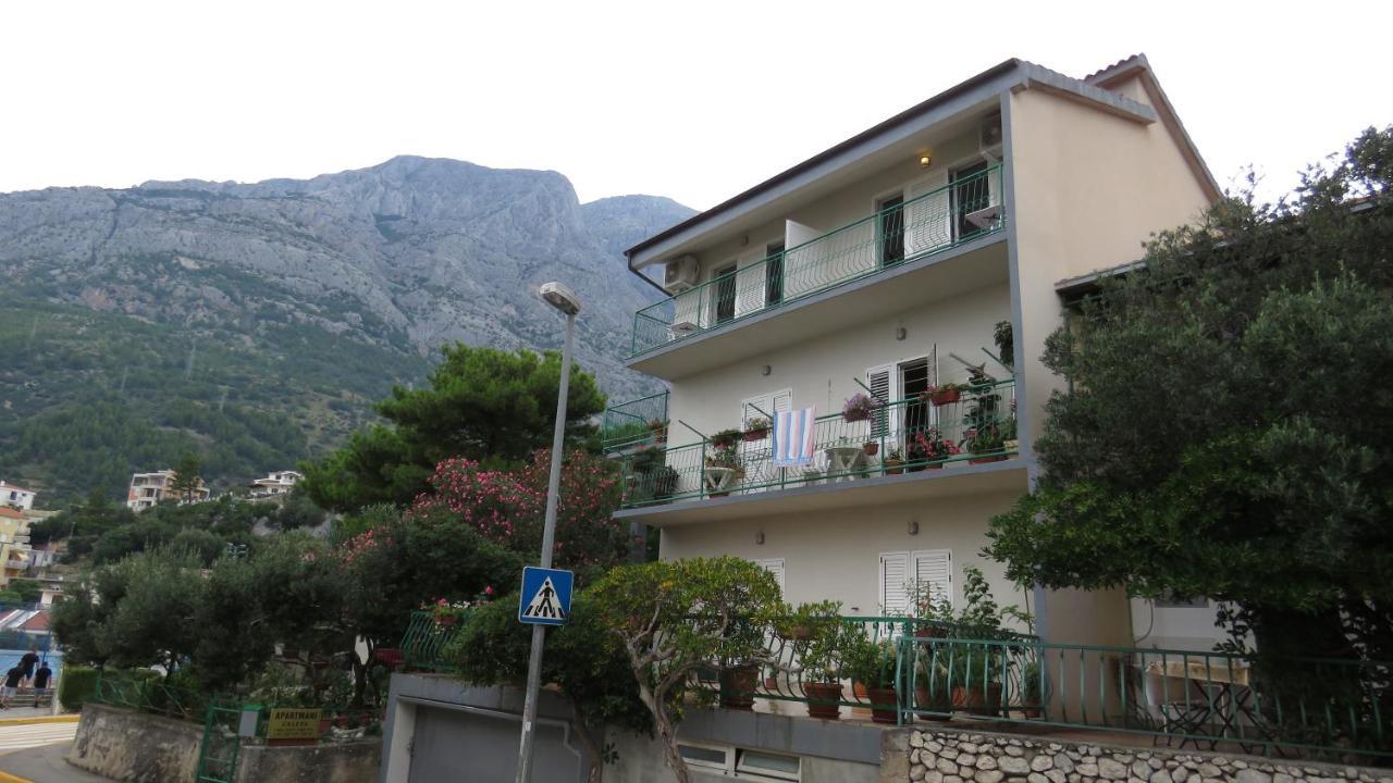 Апартаменты Caleta